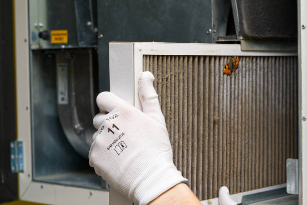 Best Affordable Duct Cleaning Services  in Moores Mill, AL